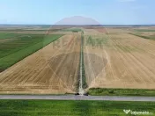 Fermă vegetală 148 ha și sediu fermă Mãicãneşti ! 