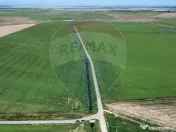 Fermă vegetală 148 ha și sediu fermă Mãicãneşti ! 