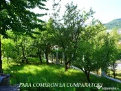 ANL- MORILOR, TEREN 635 MP 