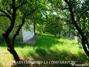 ANL- MORILOR, TEREN 635 MP 