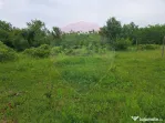 Teren Silistea Snagovului 500 mp apropiere padure