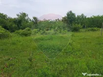 Teren Silistea Snagovului 500 mp apropiere padure