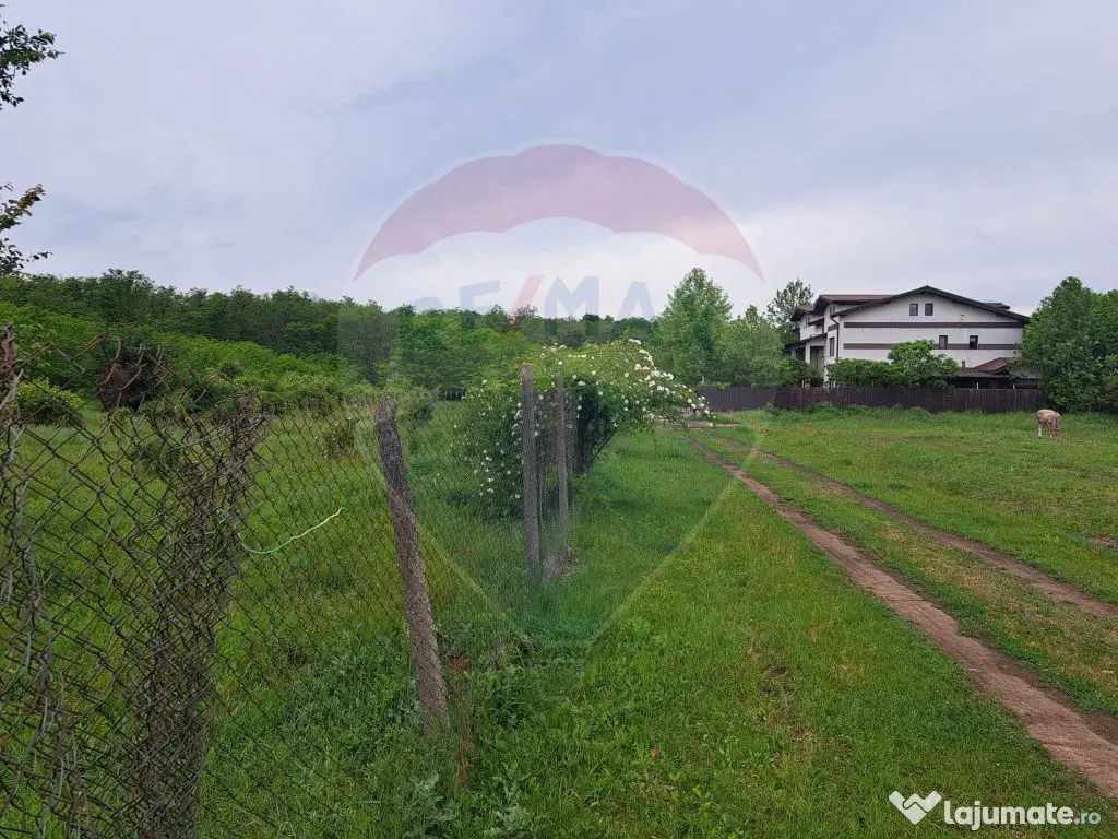 Teren Silistea Snagovului 500 mp apropiere padure