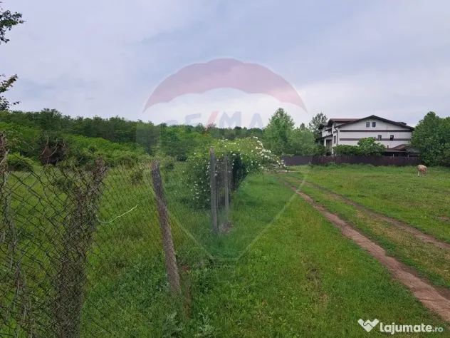 Teren Silistea Snagovului 500 mp apropiere padure
