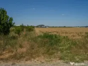 OTOPENI - CARPATILOR, TEREN 1371 MP! 