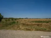 OTOPENI - CARPATILOR, TEREN 1371 MP! 