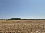 Teren intravilan 4428 mp - Balotesti