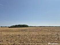 Teren intravilan 4428 mp - Balotesti