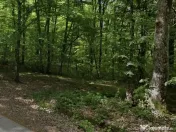 Teren extravilan, livada, Lăzăreni. 22 500 E. Comision 0 