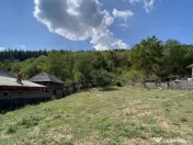 Teren 4000 mp intravilan loc. Aninoasa, jud Arges. Comision 