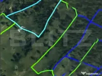 Padure 1,42 hectare in Poiana Ilvei