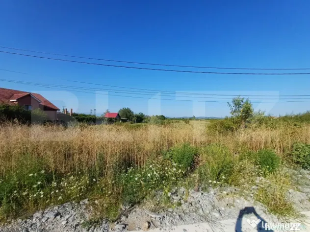 Teren intravilan si extravilan, 9500 mp, cu dublă deschider - Targu Jiu (Gorj)