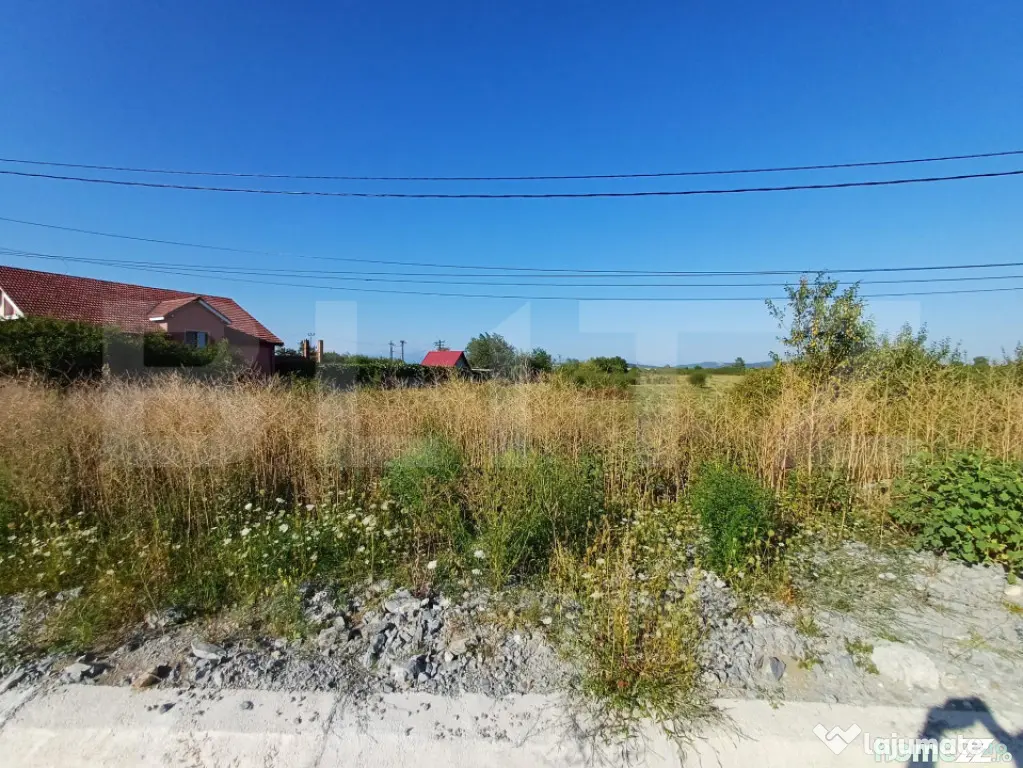 Teren intravilan si extravilan, 9500 mp, cu dublă deschider - Targu Jiu (Gorj)