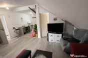 Apartament cu o cameră zona Lunei 