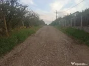 De vânzare terenuri intravilane pe strada Nucului în Sfântu Gheorghe 