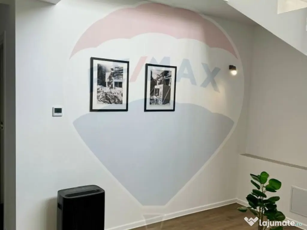 Vanzare Vila la munte