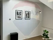 Vanzare Vila la munte 