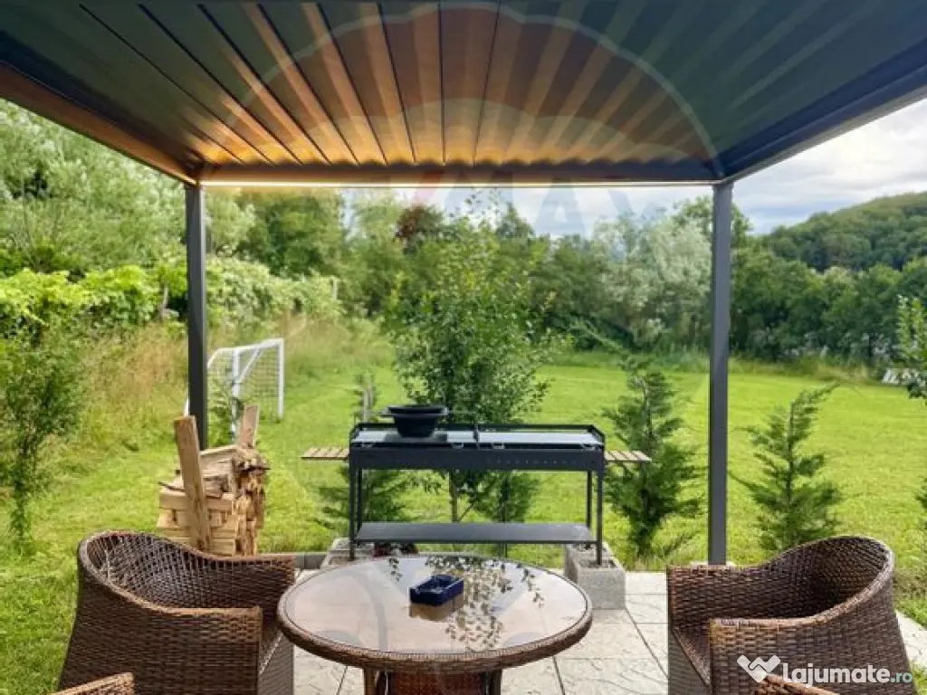 Vanzare Vila la munte