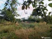 Casă / Vilă cu 4 camere de vânzare în zona Central 