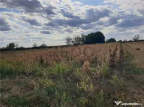 Teren extravilan in Santion