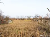 RECO Casa cu teren 3036mp, Bors 