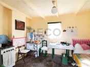 RECO Casa cu teren 3036mp, Bors 