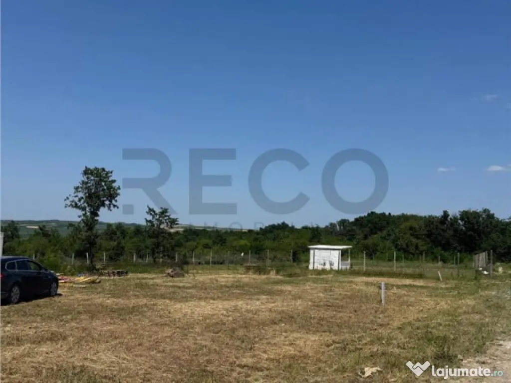 RECO teren în zona Paleu