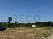 RECO teren în zona Paleu 