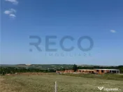 RECO teren în zona Paleu 