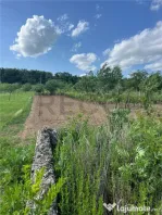 RECO TEREN CU FUNDATIE IN PETREU