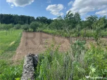 RECO TEREN CU FUNDATIE IN PETREU