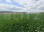 Teren extravilan 5,2 ha deschidre la DN ideal pentru industr