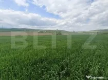 Teren extravilan 5,2 ha deschidre la DN ideal pentru industr