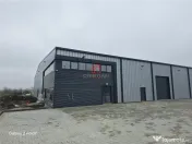 Depozit/hala/spatiu industrial Mogosoaia - Buftea 