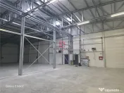 Depozit/hala/spatiu industrial Mogosoaia - Buftea 