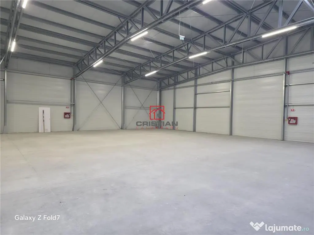 Depozit/hala/spatiu industrial Mogosoaia - Buftea