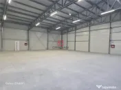 Depozit/hala/spatiu industrial Mogosoaia - Buftea 