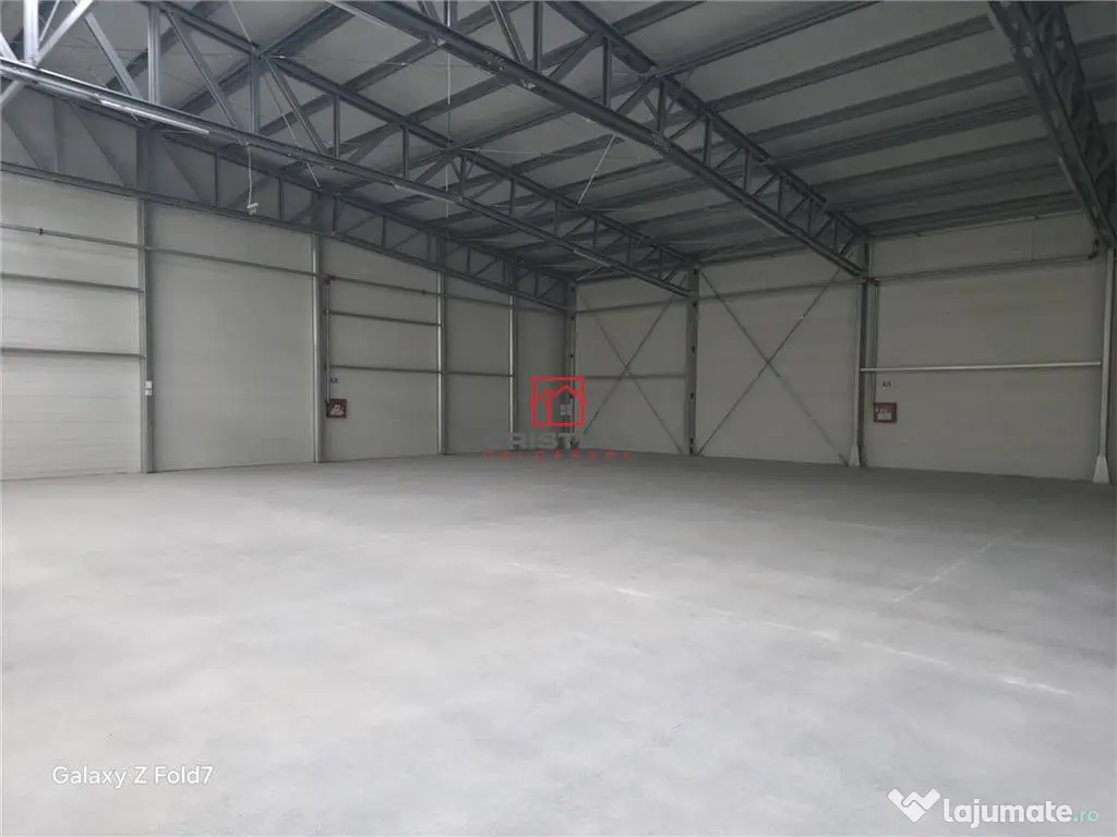 Depozit/hala/spatiu industrial Mogosoaia - Buftea