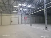 Depozit/hala/spatiu industrial Mogosoaia - Buftea 