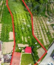 Casa cu teren generos si gradina spectaculoasa – Comuna Cu