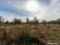 Teren 2.847 mp in comuna Cuca, AG