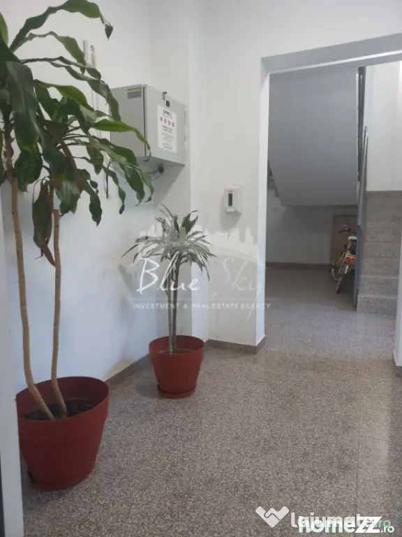 Campus -Studio decomandat cu bucătărie separată, loc de