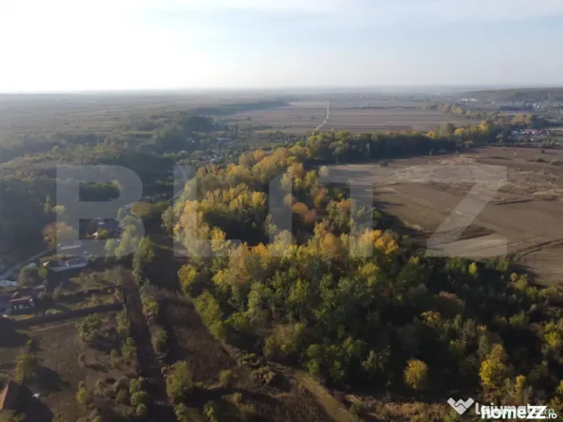 Proprietate de vanzare, 1000 mp, sat Gârleni