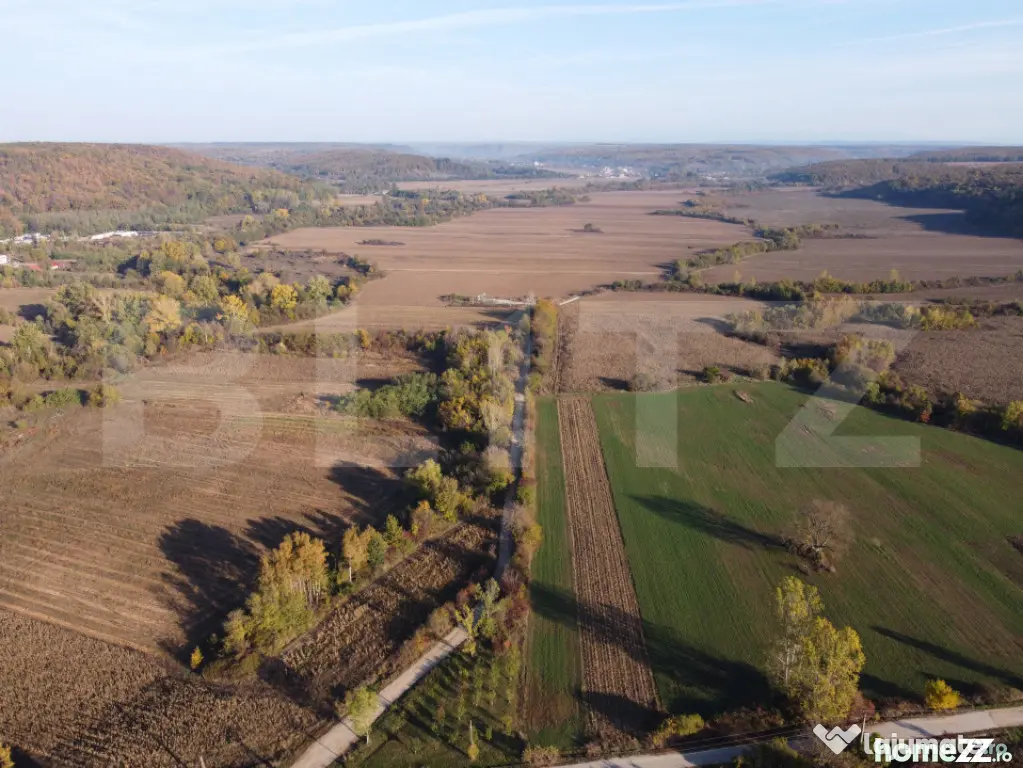 Proprietate de vanzare, 1000 mp, sat Gârleni