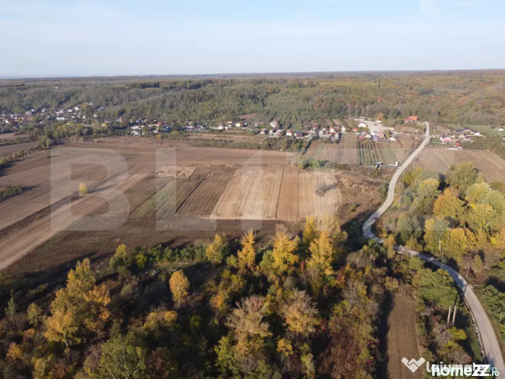 Proprietate de vanzare, 1000 mp, sat Gârleni
