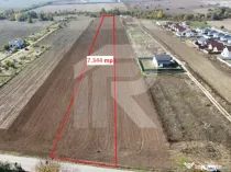 JOITA, LOT 7.344 MP!