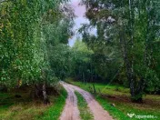 Teren 7,350mp Bulz / Drumul Secundar 