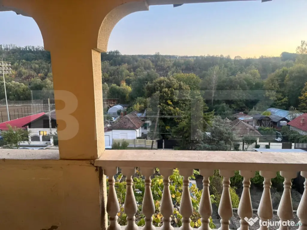 Casa cu piscina P+M, 1.368 mp teren, Leamna de Sus