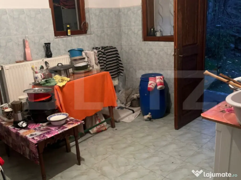 Casa cu piscina P+M, 1.368 mp teren, Leamna de Sus