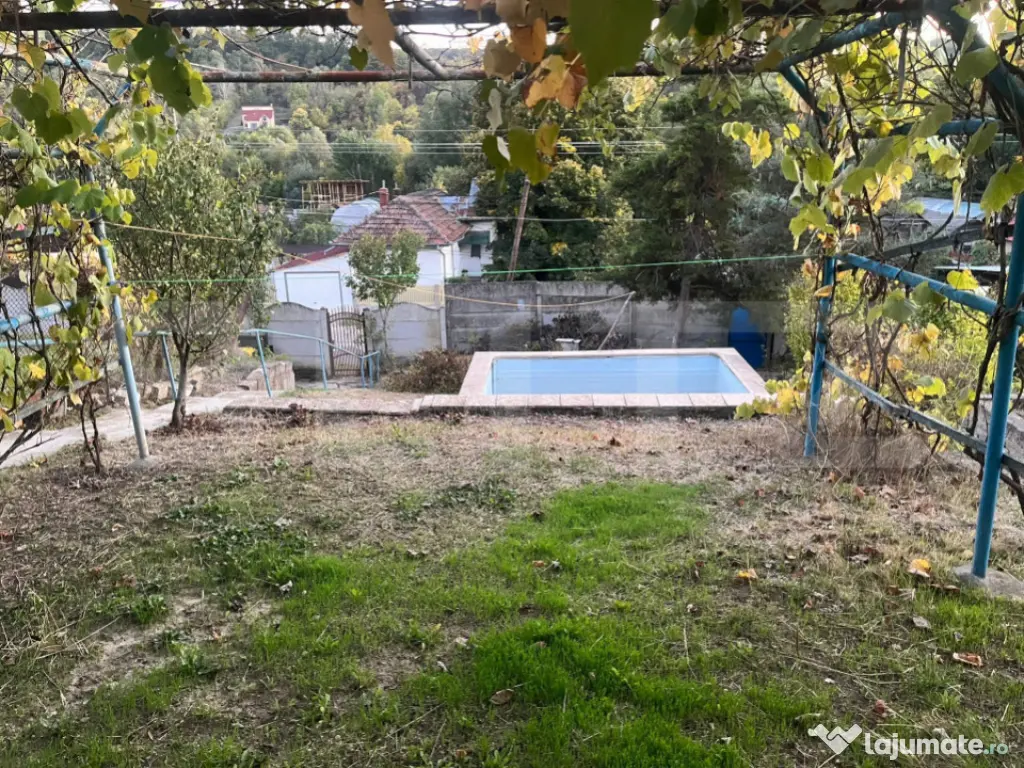 Casa cu piscina P+M, 1.368 mp teren, Leamna de Sus